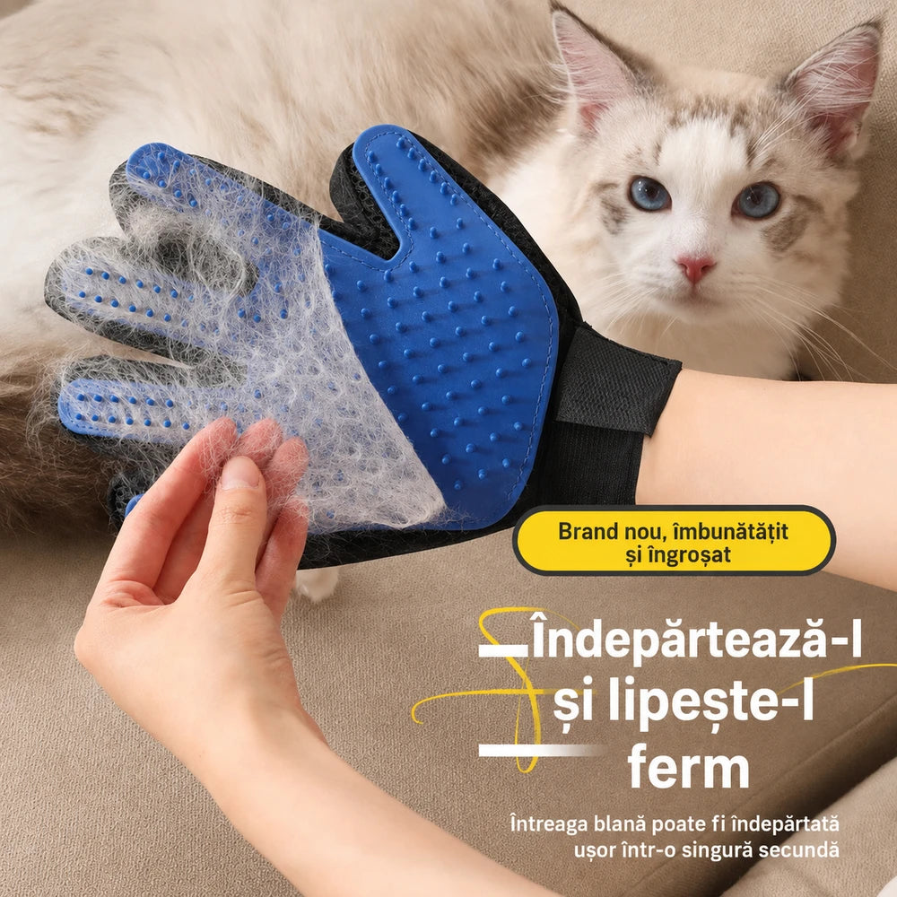 Manusa tip perie