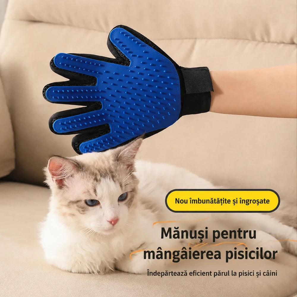 Manusa tip perie