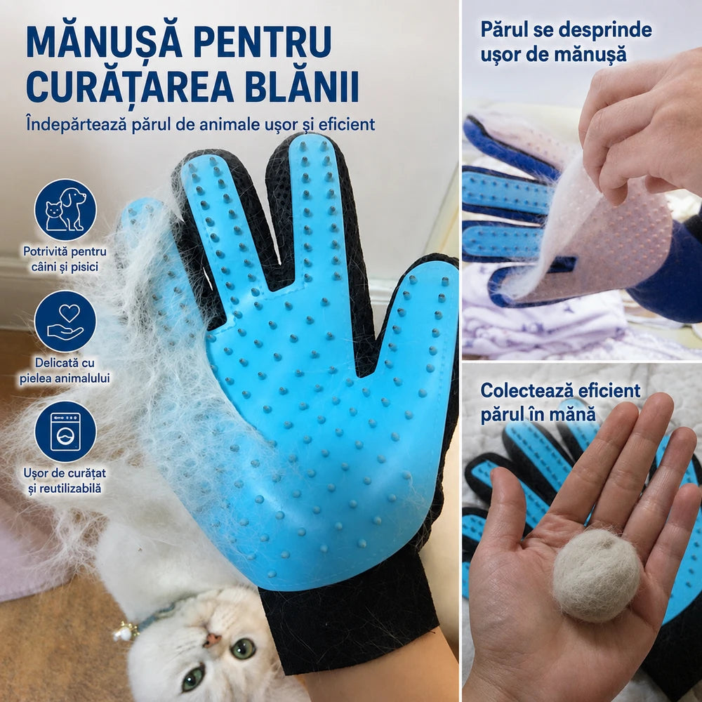 Manusa tip perie